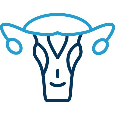 Rahim anatomisi simgesinin vektör çizimi