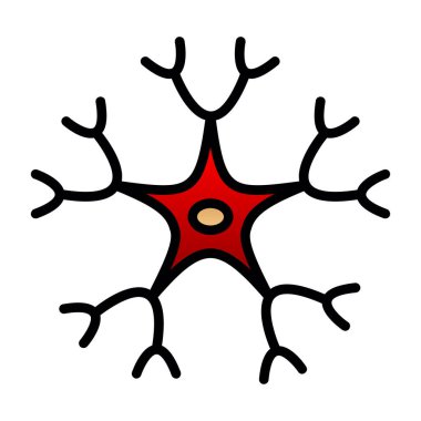 İnsan anatomisi, vektör çizimi