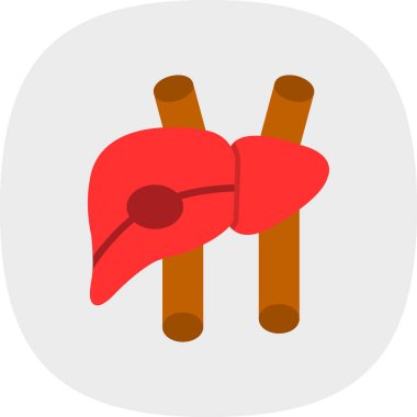 İnsan karaciğeri düz vektör simgesi