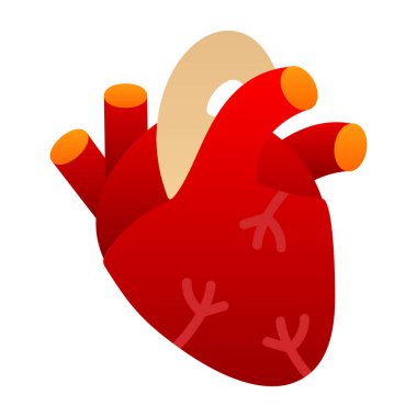 İnsan kalbi simgesi, vektör illüstrasyonu basit tasarım