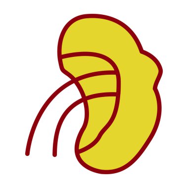 İnsan böbreği ikonu. İnsan böbrek taşıyıcı simgesinin ana hatları düz izole edilmiş