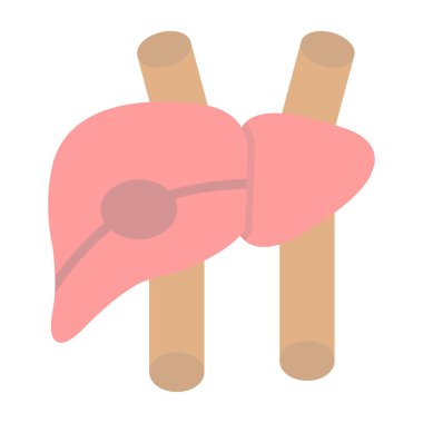 İnsan ciğerleri organ vektör çizimi tasarımı