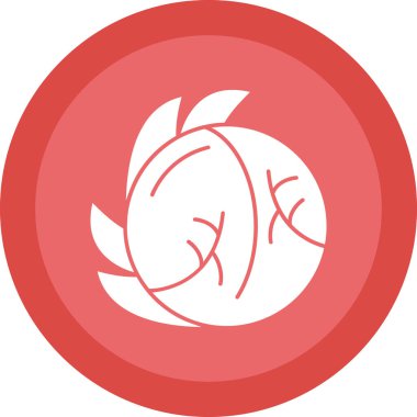 Beyaz Lahana Ağı simgesi basit illüstrasyon 