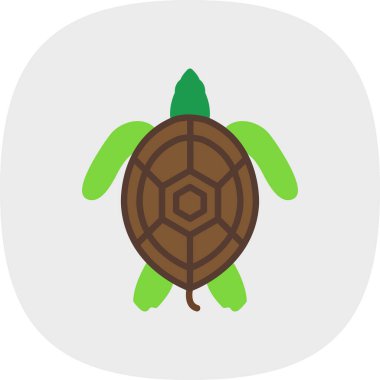 Beyaz arkaplanda izole edilmiş kaplumbağa vektör simgesi