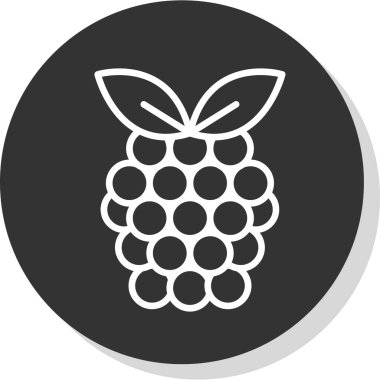 Raspberry fruit icon. vector illustration 