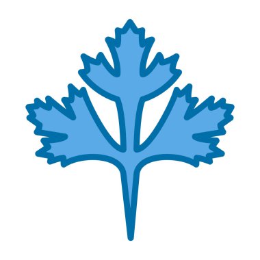 Cilantro yaprak simgesi, vektör illüstrasyonu beyaz arkaplanda izole edildi 