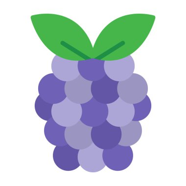 Raspberry fruit icon. vector illustration 