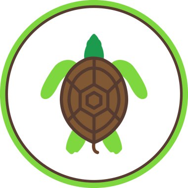 Beyaz arkaplanda izole edilmiş kaplumbağa vektör simgesi