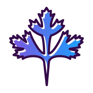 Cilantro yaprak simgesi, vektör illüstrasyonu beyaz arkaplanda izole edildi 