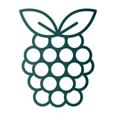 Raspberry fruit icon. vector illustration 