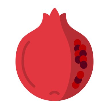 Nar meyve simgesinin vektör illüstrasyonu