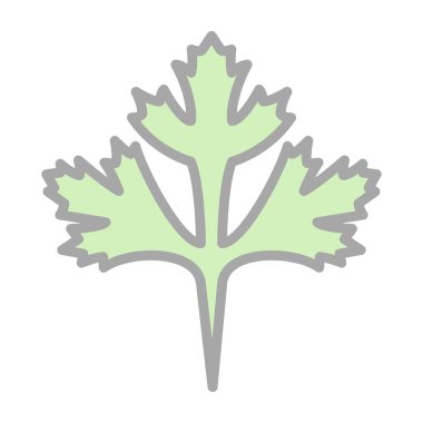 Cilantro yaprak simgesi, vektör illüstrasyonu beyaz arkaplanda izole edildi 