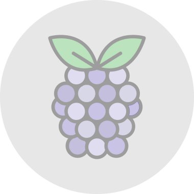 Raspberry fruit icon. vector illustration 