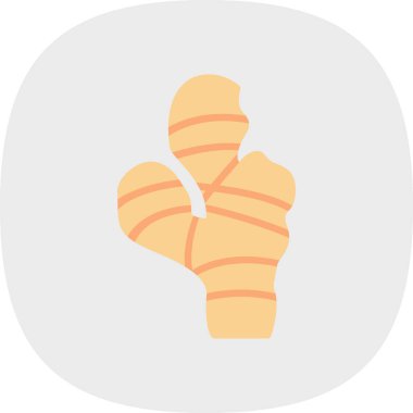 Zencefil kök simgesinin vektör illüstrasyonu 