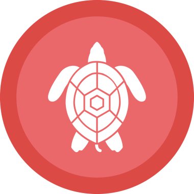 Beyaz arkaplanda izole edilmiş kaplumbağa vektör simgesi