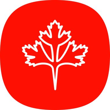 Cilantro yaprak simgesi, vektör illüstrasyonu beyaz arkaplanda izole edildi 