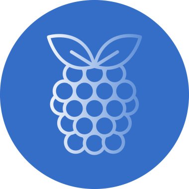 Raspberry fruit icon. vector illustration 