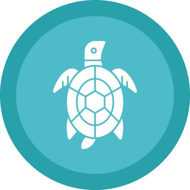 Beyaz arkaplanda izole edilmiş kaplumbağa vektör simgesi