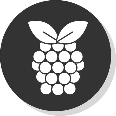 Raspberry fruit icon. vector illustration 