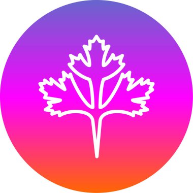 Cilantro yaprak simgesi, vektör illüstrasyonu beyaz arkaplanda izole edildi 