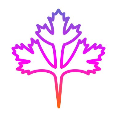 Cilantro yaprak simgesi, vektör illüstrasyonu beyaz arkaplanda izole edildi 