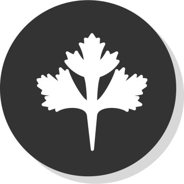 Cilantro yaprak simgesi, vektör illüstrasyonu beyaz arkaplanda izole edildi 