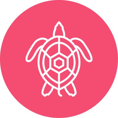 Beyaz arkaplanda izole edilmiş kaplumbağa vektör simgesi