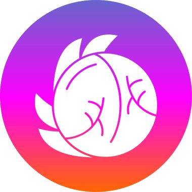 Beyaz Lahana Ağı vektör illüstrasyonuName 