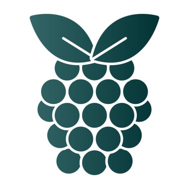 Raspberry fruit icon. vector illustration 