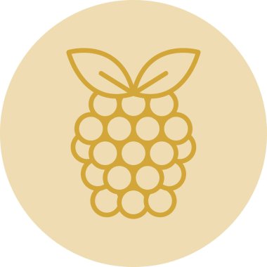 Raspberry fruit icon. vector illustration 