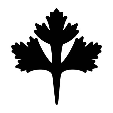 Cilantro yaprak simgesi, vektör illüstrasyonu beyaz arkaplanda izole edildi 