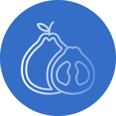 Pomelo meyvesi. vektör simgesi basit resimleme