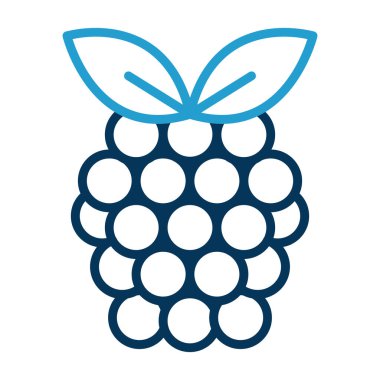 Raspberry fruit icon. vector illustration 