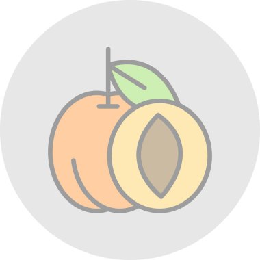 Kayısı meyve simgesinin vektör illüstrasyonu. 