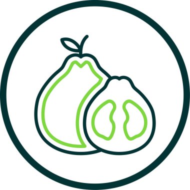 Pomelo meyvesi. vektör simgesi basit resimleme
