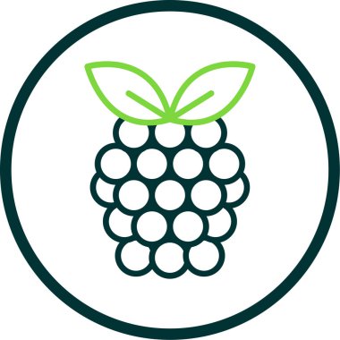 Raspberry fruit icon. vector illustration 