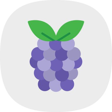 Raspberry fruit icon. vector illustration 