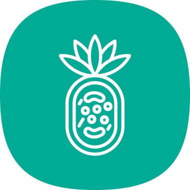 ananas ikonu vektör illüstrasyonu