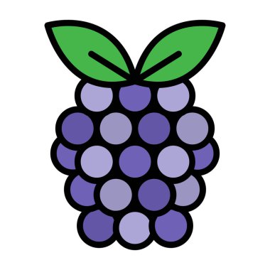 Raspberry fruit icon. vector illustration 