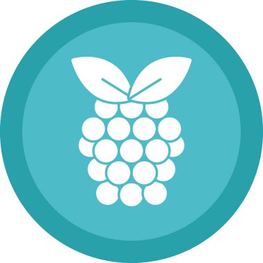 Raspberry fruit icon. vector illustration 