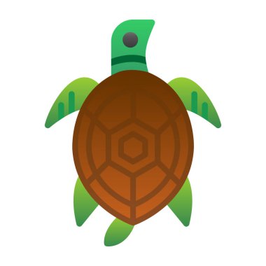 Beyaz arkaplanda izole edilmiş kaplumbağa vektör simgesi