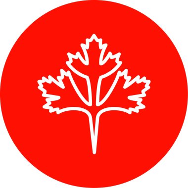 Cilantro yaprak simgesi, vektör illüstrasyonu beyaz arkaplanda izole edildi 