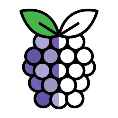 Raspberry fruit icon. vector illustration 