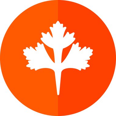 Cilantro yaprak simgesi, vektör illüstrasyonu beyaz arkaplanda izole edildi 