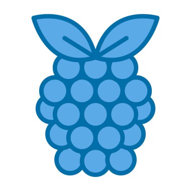 Raspberry fruit icon. vector illustration 