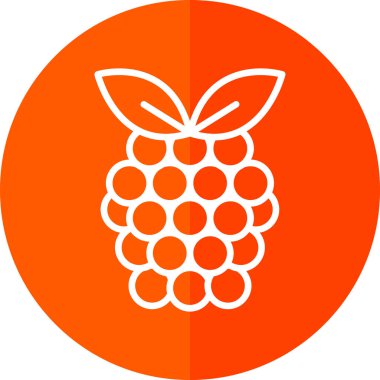 Raspberry fruit icon. vector illustration 