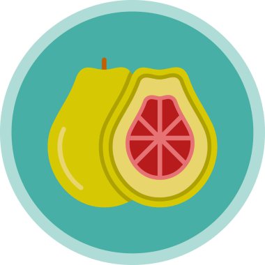 Pomelo meyvesi. vektör simgesi basit resimleme