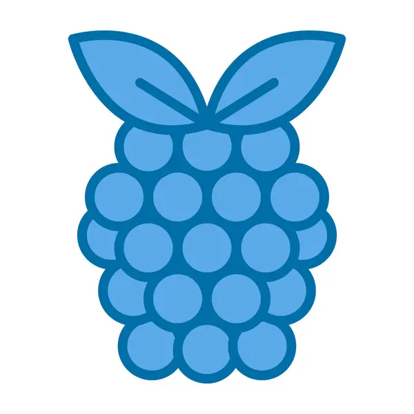 Raspberry Fruit Icon Vector Illustration – stockvektor