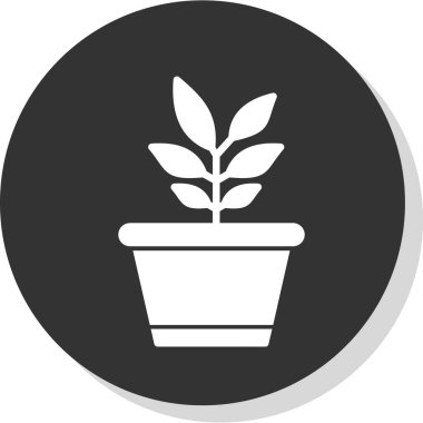 Saksı bitkisi. Web simgesi basit illüstrasyon