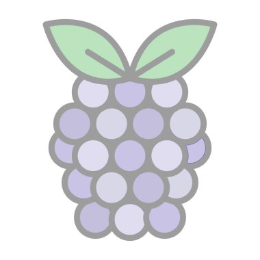 Raspberry fruit icon. vector illustration 